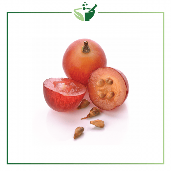 Grape Seed Powder-01